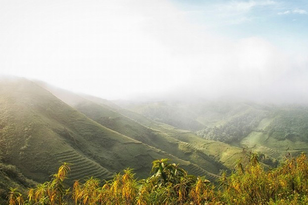 the valley in Lung Van, Vietnam Trips