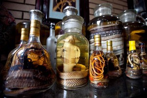 Snake Wine