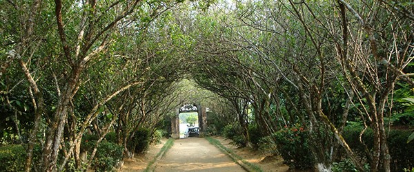 The beautiful walkway inside An Hien Garden House