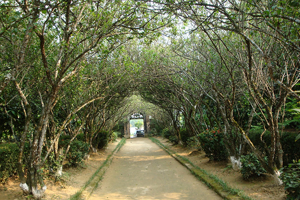 An Hien Garden House in Hue - Go Vietnam Tours