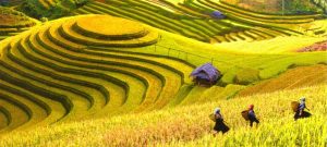 Northern in Vietnam, Vietnam tour packages