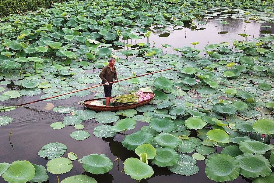 Hard working of Vietnamese, Vietnam tours