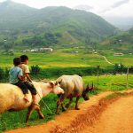 Ta Van Village, Vietnam Trips