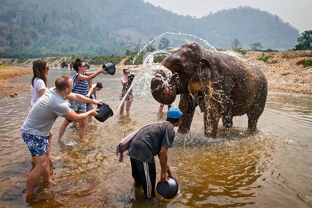 Elephant bathing at Don Village, Vietnam local Tours