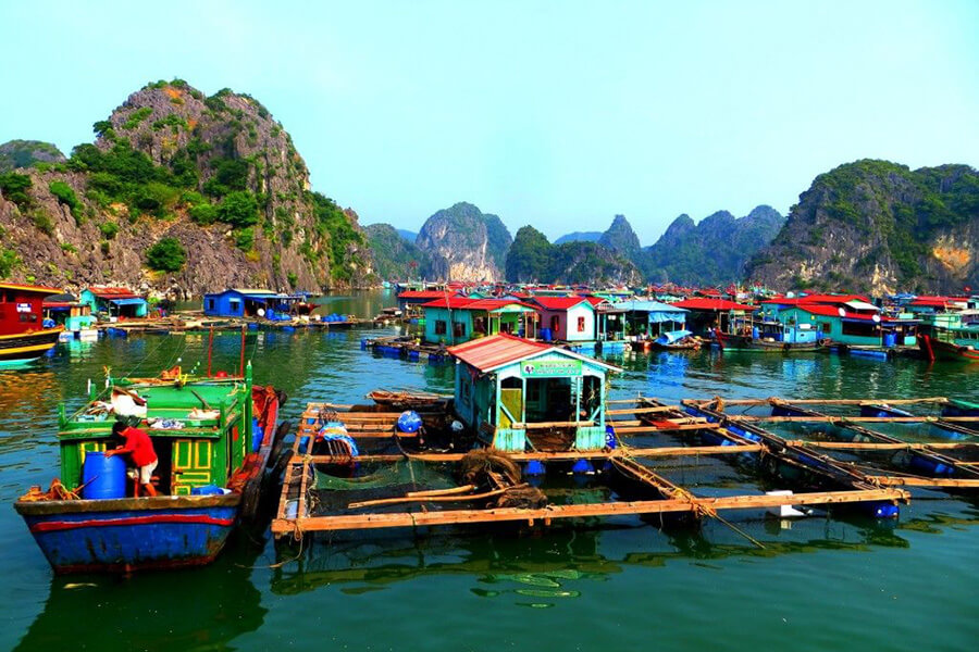 Floating village at Ha Long Bay, Vietnam local tours