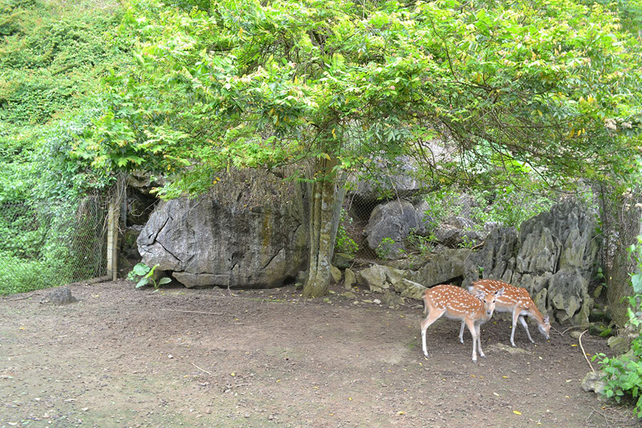 Cat Ba National Park, Vietnam tours Packages