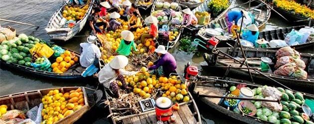 Top 8 Unmissable Things to Do and See in Mekong Delta