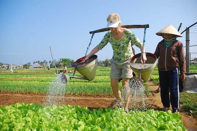 Tra Que Farming, Vietnam Tour Beach