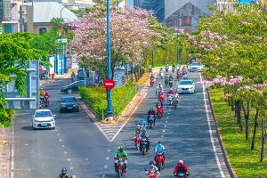 Vietnam Transportation | How to Get Around Vietnam