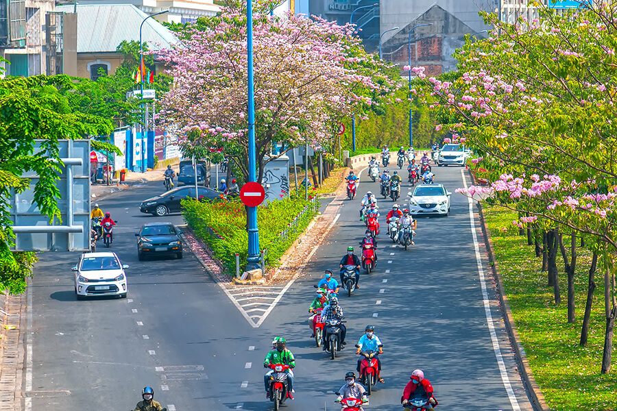 Vietnam Transportation | How to Get Around Vietnam