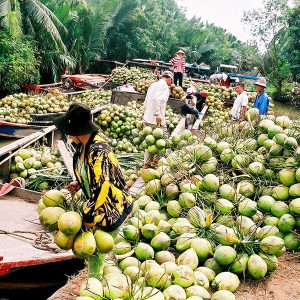 Ben Tre Market, Ho Chi Minh Tour Packages