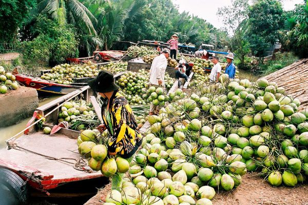 Ben Tre Market, Ho Chi Minh Tour Packages