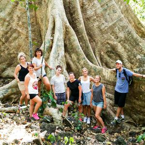 Old Tree at Cat Tien National Park, Vietnam trips