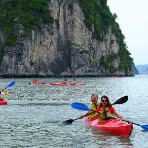 Bai Tu Long, Visit Vietnam