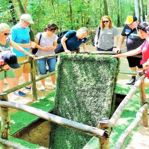 Cu Chi Tunnels, Ho Chi Minh Trips