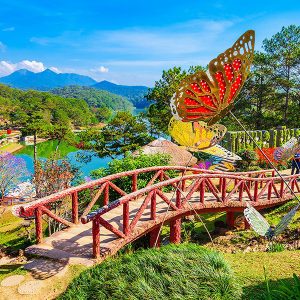 Da Lat Flower Park, Trip to Vietnam