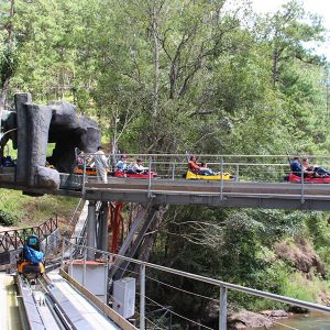 Da Lat High Rope Course, Southern Tours in Vietnam