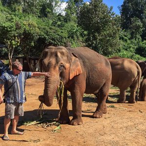 Elephant bathing at Don Village, Vietnam local Tours