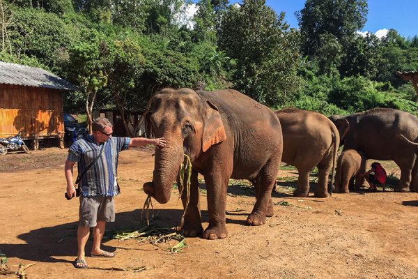 Elephant bathing at Don Village, Vietnam local Tours