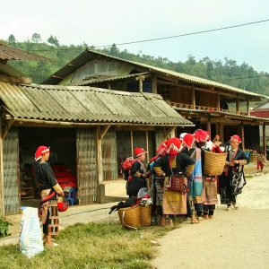 lao cai trekking, Vietnam go trips