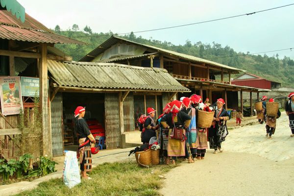 lao cai trekking, Vietnam go trips