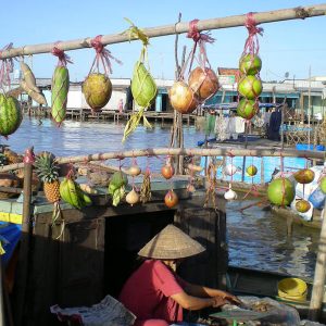 Cai Be Floating Market, Vietnam Tour Package