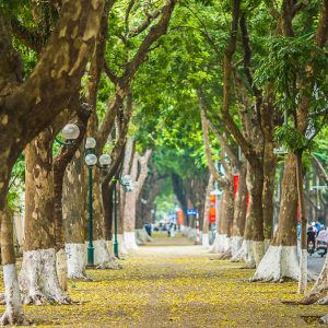 Walking street in Vietnam, Vietnam holiday