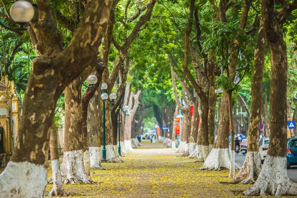 Walking street in Vietnam, Vietnam holiday