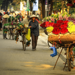 Hanoi Vendor, Family tours in Vietnam