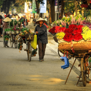 Hanoi Vendor, Vietnam Family tour