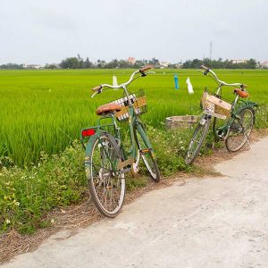 the countryside Tra Que, Vietnam Family Vacation Packages