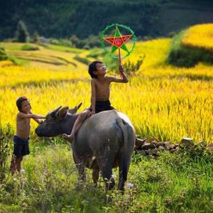 Jewels of Vietnam Family Tour – 12 Days