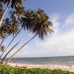 Mui ne Beach, Vietnam Beach Travel