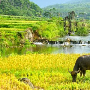 Pu Luong - Nature reserve, Vietnam tours