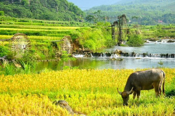 Pu Luong - Nature reserve, Vietnam tours