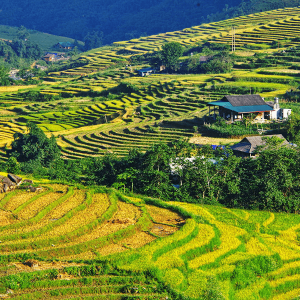 Sapa - Vietnam Adventure Tour