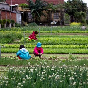 Tra Que Village, Vietnam family tour