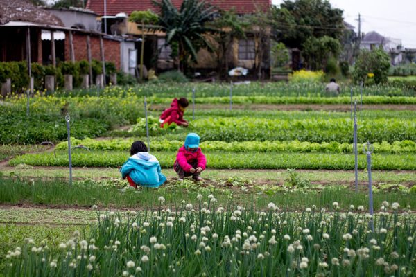 Tra Que Village, Vietnam family tour