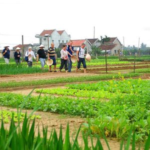 Tra Que Farming, Vietnam Tour Beach