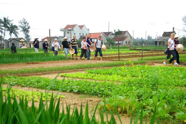 Tra Que Farming, Vietnam Tour Beach