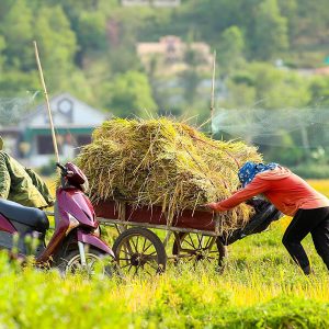 nghia lo, vietnam vacations