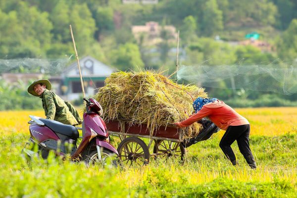 nghia lo, vietnam vacations