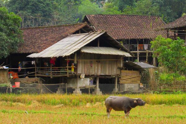 Pac Ngoi Village, Tour to Vietnam