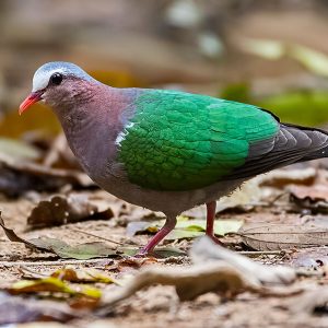 Nam Cat Tien National Park, Vietnam Tours