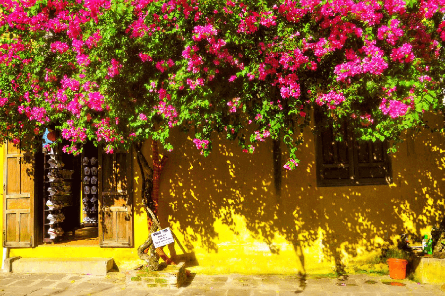 Hoi An ancient town, Vietnam Family tour