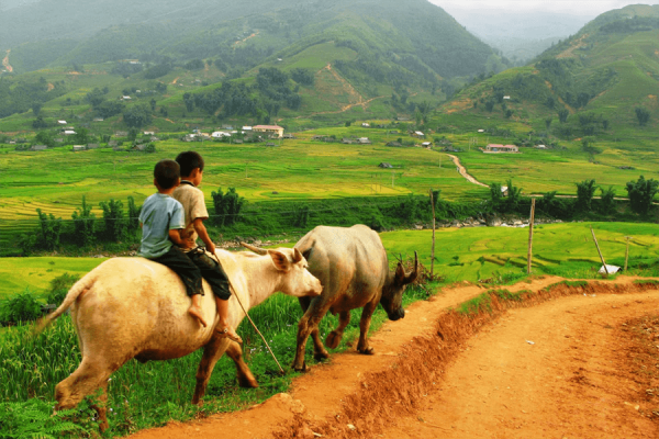 Sapa Town, Vietnam Tours