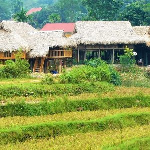 Pu Luong Retreat, Vietnam Local tours