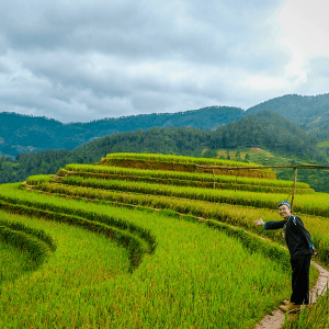 Mu Cang Chai, Vietnam adventure tour