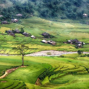 mu cang chai village, Vietnam Holiday Packages