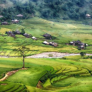 Mu Cang Chai - Vietnam Adventure tour